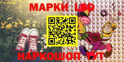 гидропоника Славгород