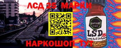 гидропоника Славгород