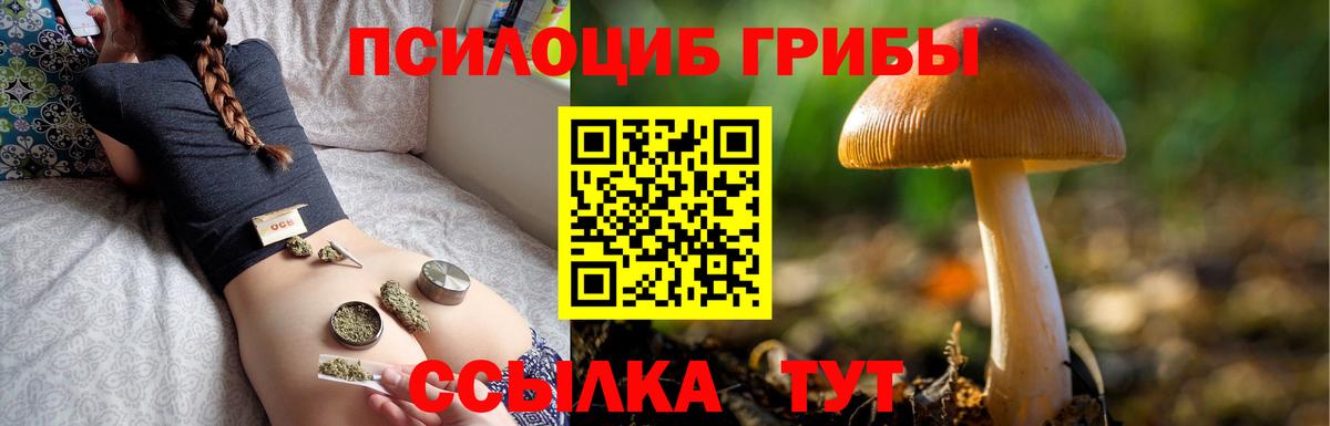 Галлюциногенные грибы Cubensis Нарткала