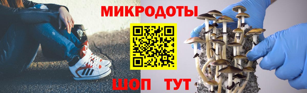 Нарткала  Псилоцибиновые грибы Psilocybe  Вход с VPN 
