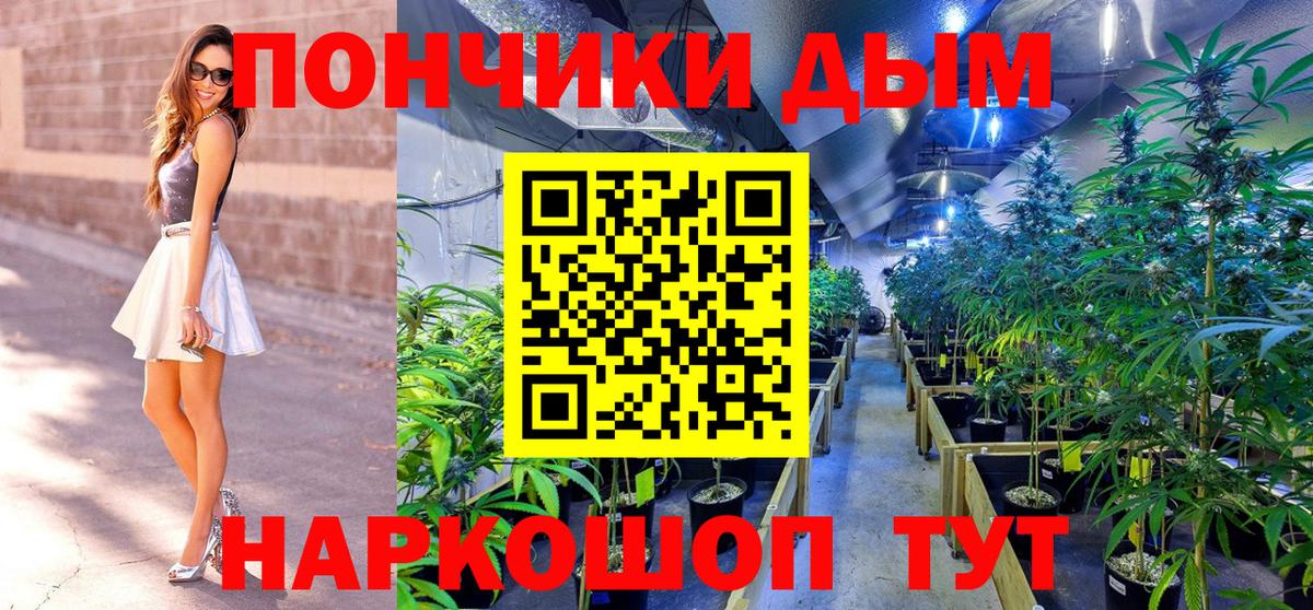 Конопля MAZAR  Канабис THC 21%  Канабис план  Нарткала  Вход с VPN 